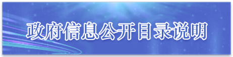 政府信息公开目录说明,点按两次即可激活